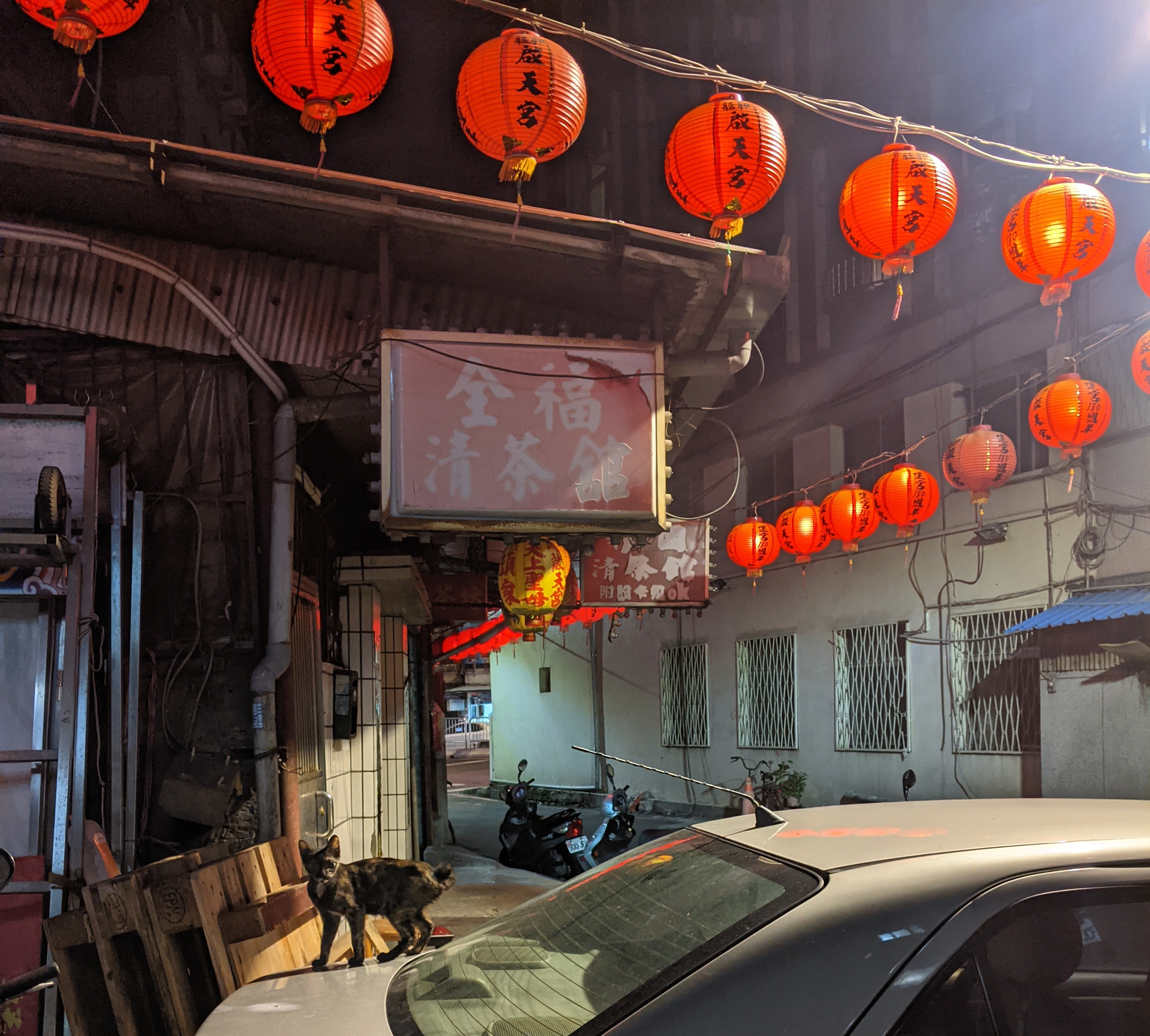 A very small and ratty looking cat standing on a car and looking wary, with some red lanterns strung up above it.