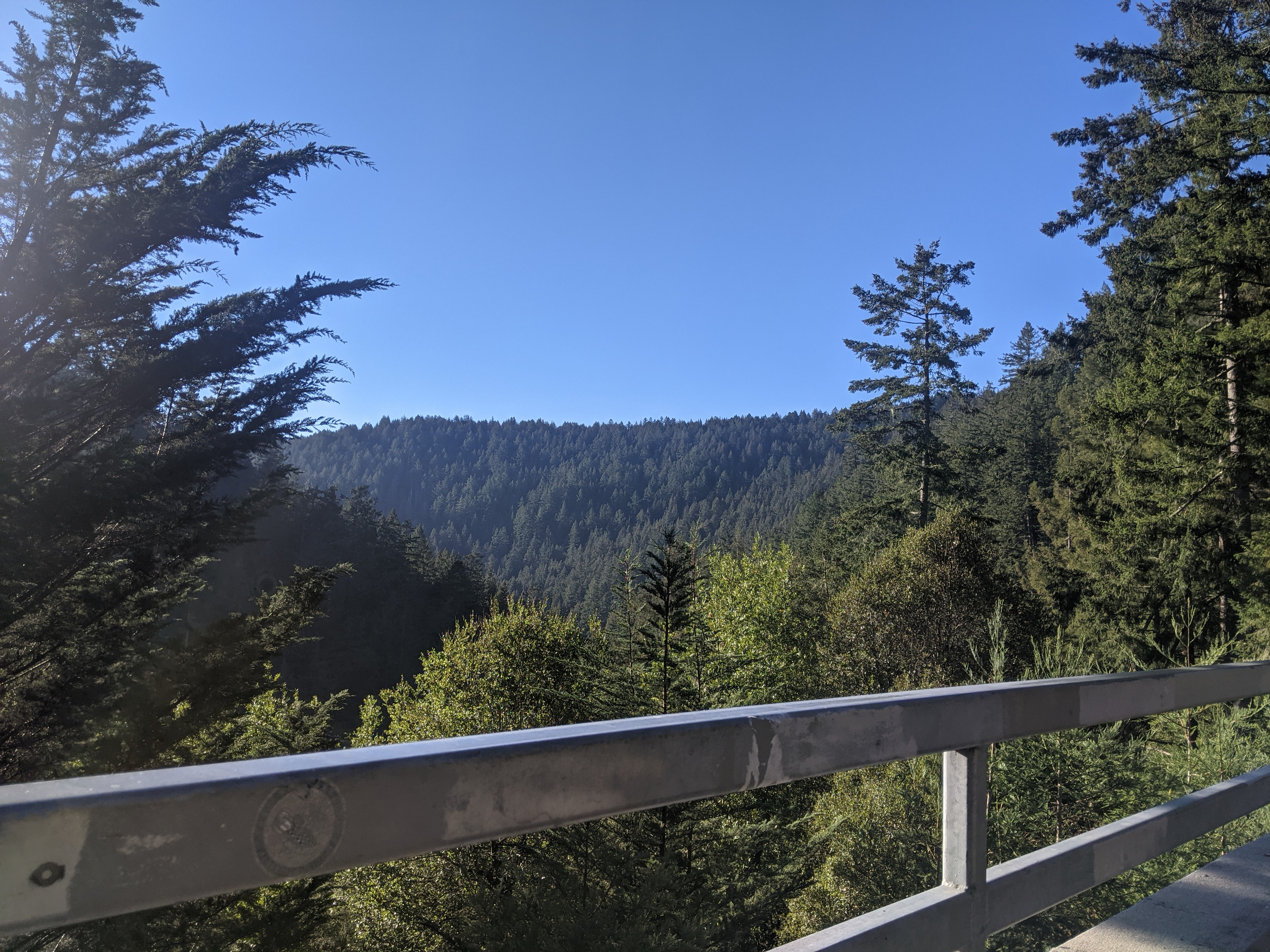 A photo of a mountainside full of trees, with a railing in the foreground.