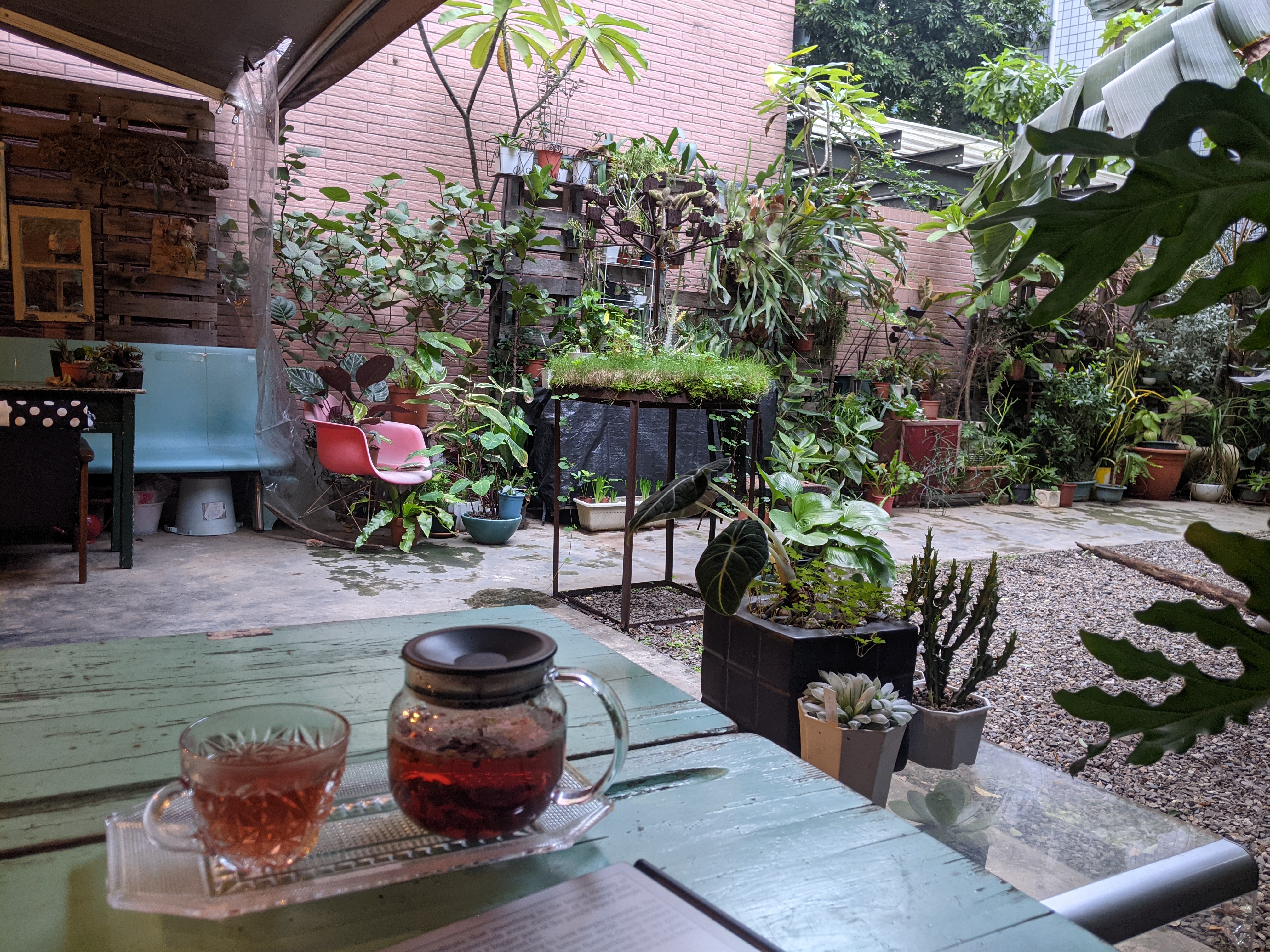 A pot of tea on a table in an outdoor patio with some plants.