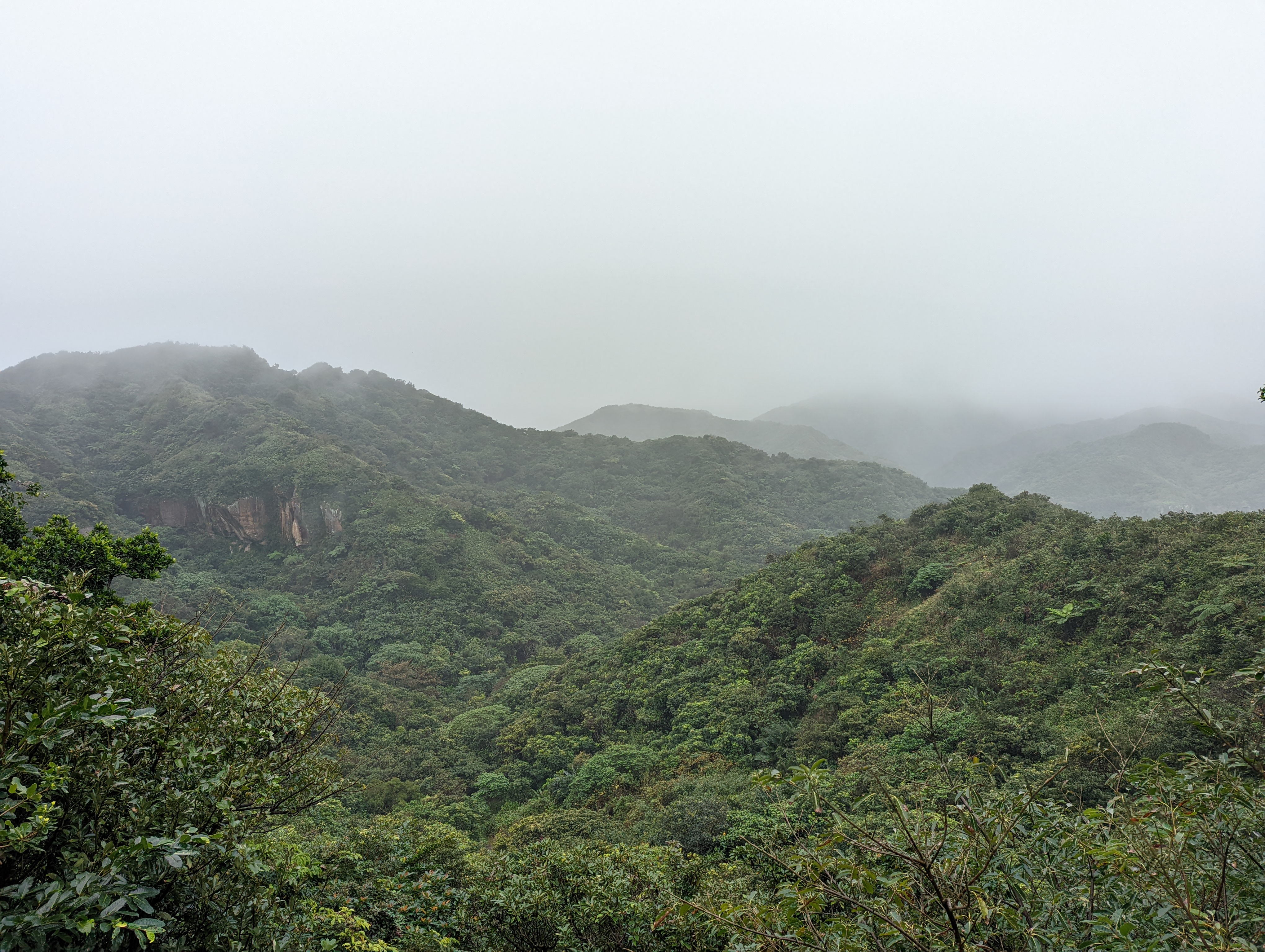 A photo of some lush green terrain, shrouded in fog.