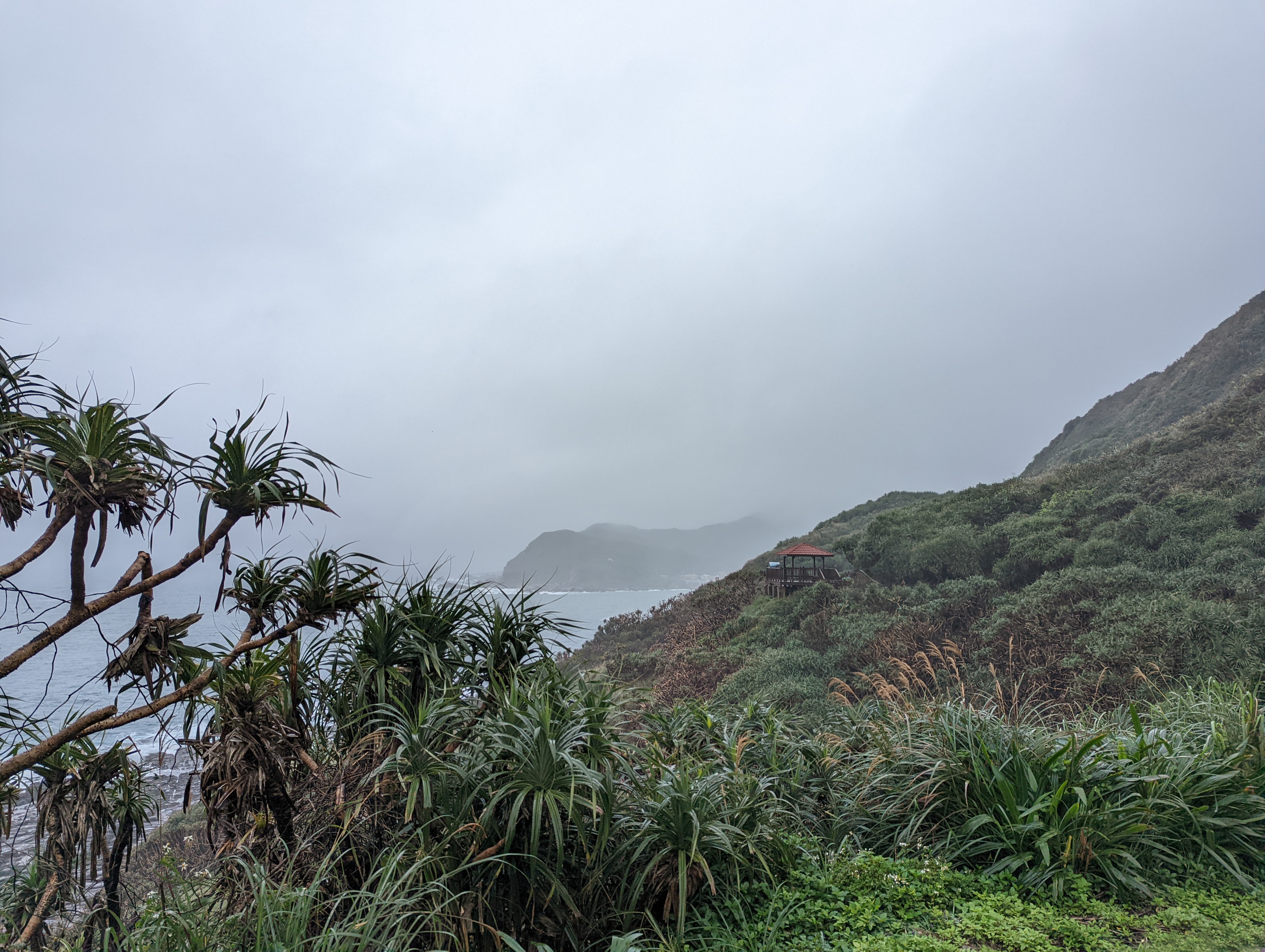 A photo of some green hills shrouded in fog and lush with foliage. There is ocean visible, and a small building nestled into the hillside.