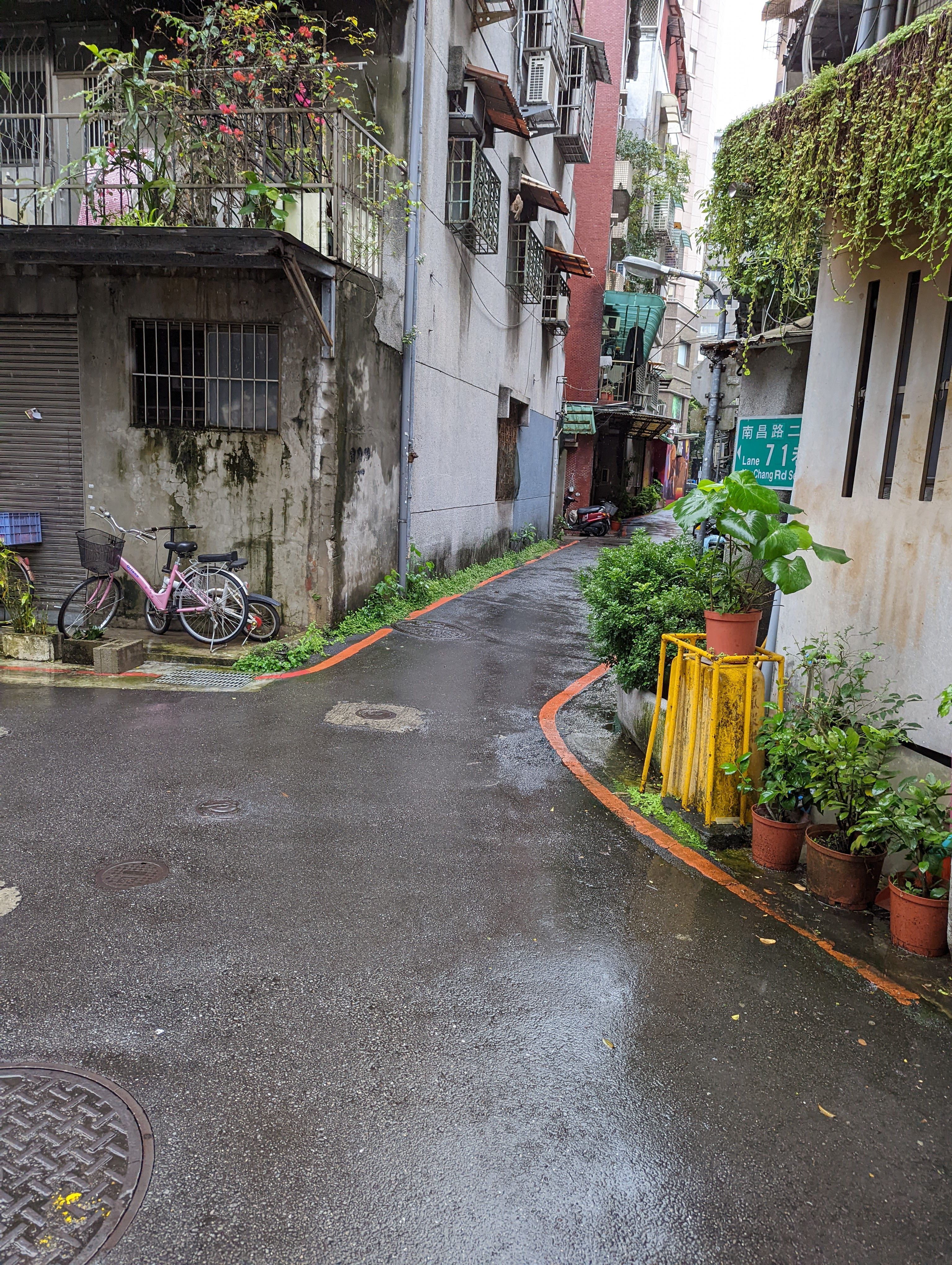 A small alley, with lots of plants and a pink bicycle.