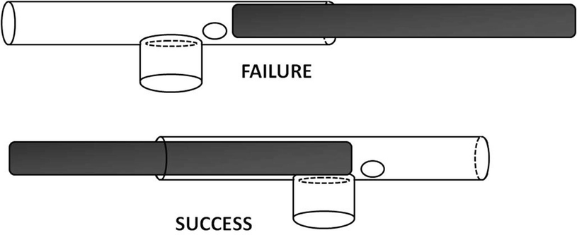 An image of two tubes with a circle in them represnting a reward, and rods inserted to push out the reward. The top image is marked 'failure,' and shows the reward being pushed into the hole, whereas the second image is marked 'success,' and shows the rod inserted from the other side of the tube, avoiding the trap